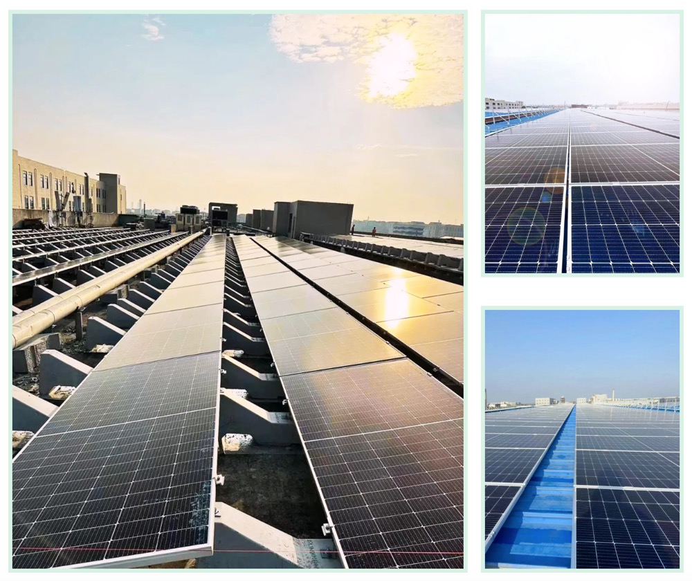 威尼斯备用网站